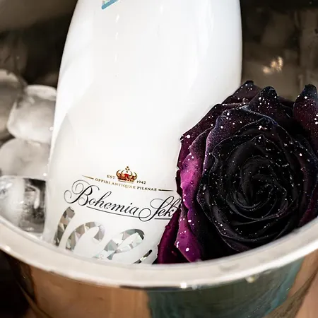 Bohemia Deluxe Апартаменты