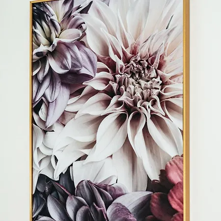아파트 Bohemia Deluxe